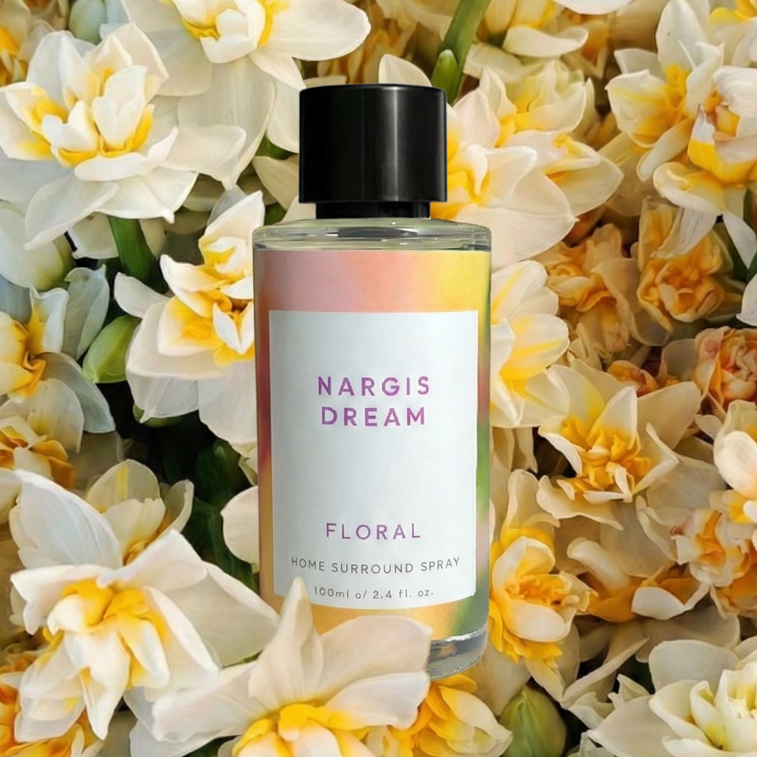 Nargis Dream